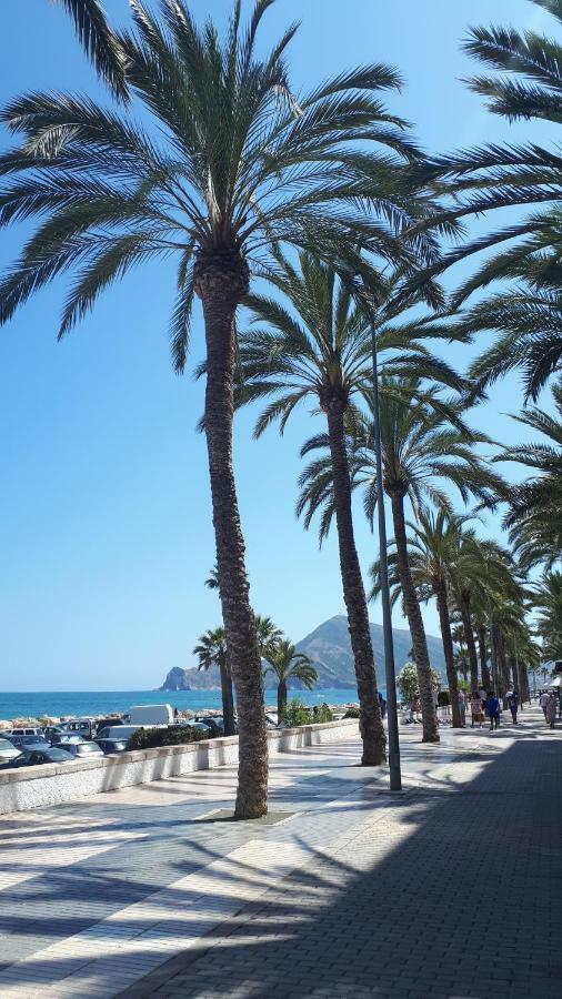 Small Studio Apartment Altea Ngoại thất bức ảnh